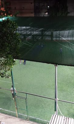The turf seen from above through the netting